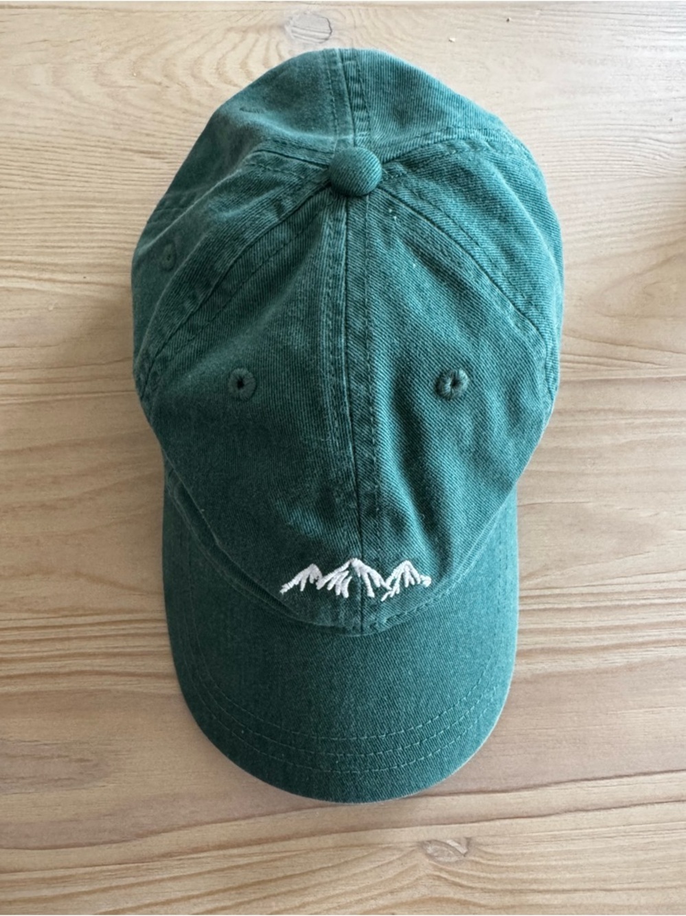 JCrew Factory Mountain Baseball Hat